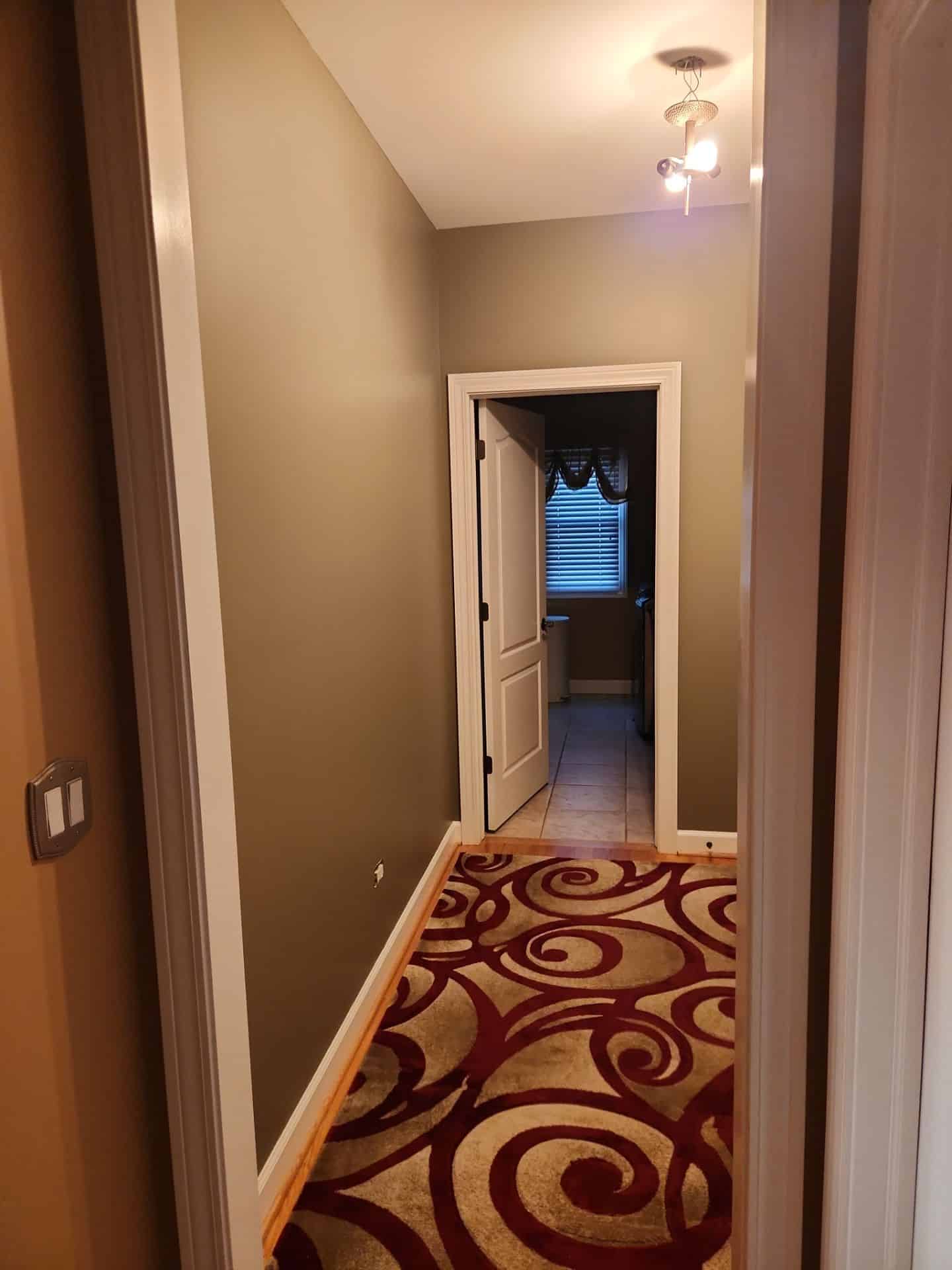 down-net_http20240319-112-jeu5qa